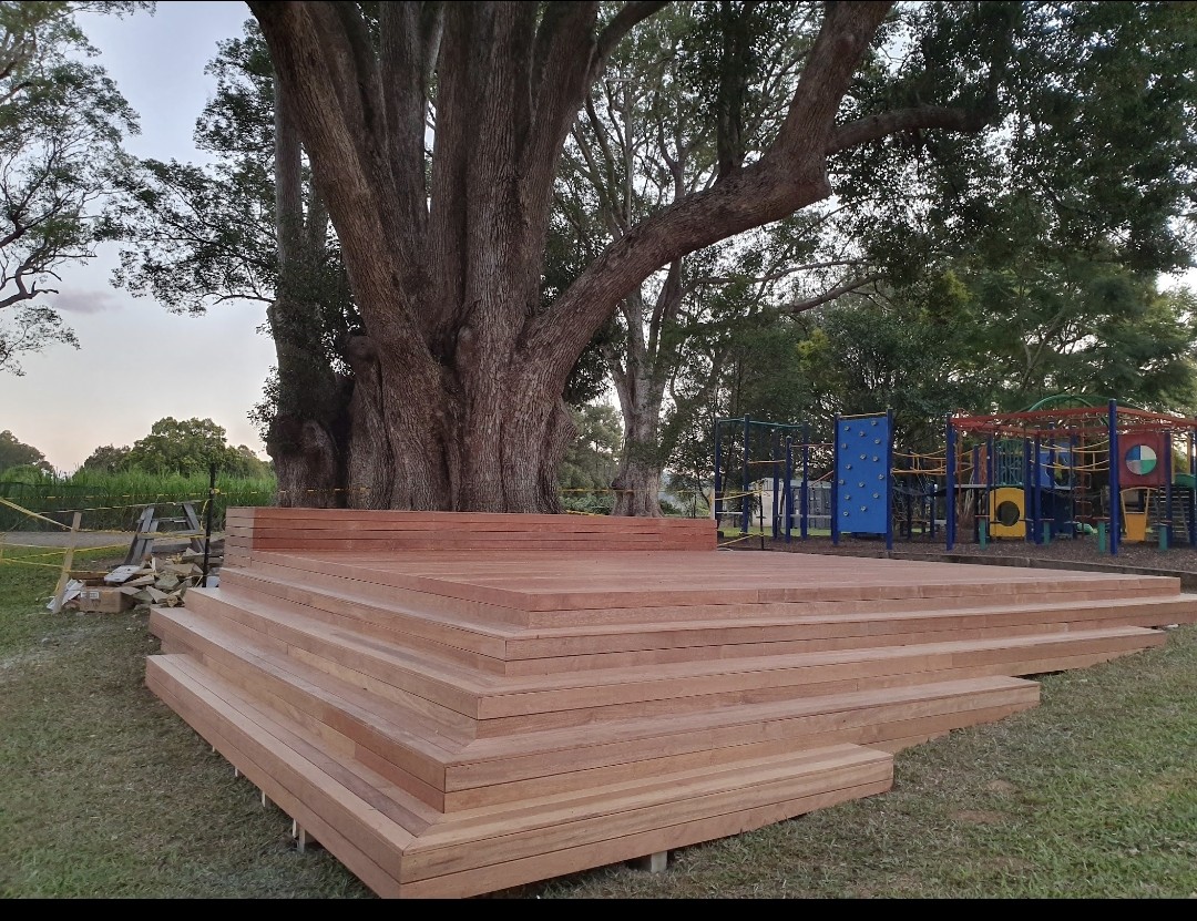 Stepped hardwood platform deck built around a large fig tree next to a playground